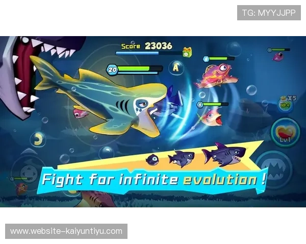 博鱼真人网址官方入口2026年最新版本，提供丰富多样的真人游戏体验