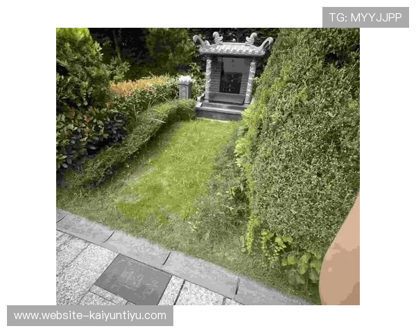 开云官方网页登入流程详解确保每位用户轻松登录无忧