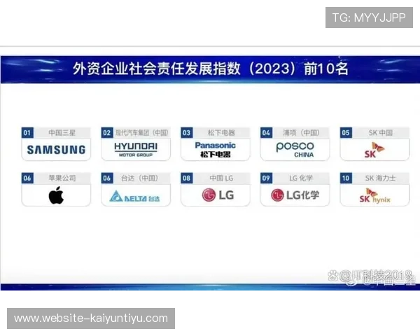 通过开云公司官网了解企业社会责任与可持续发展战略