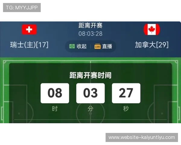 加拿大与瑞士国家队头像揭秘：世界杯关键比赛中的战术布局与表现